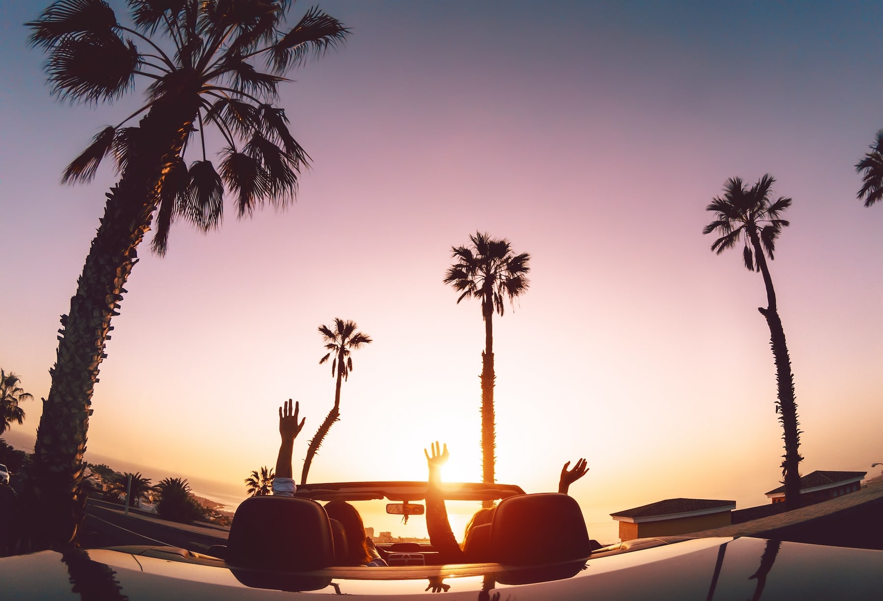 California sunset and palm trees view while driving